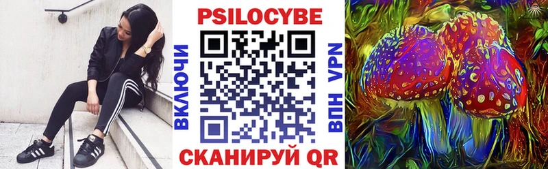 Купить где  Свободный  Псилоцибиновые грибы мицелий 